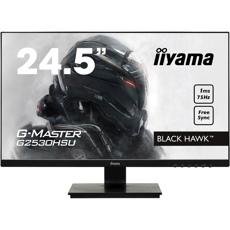 IIYAMA G-MASTER - 24.5 pouces - 75 Hz