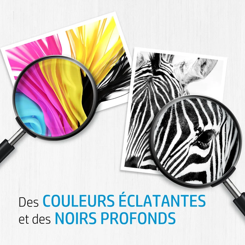 Cartouche d'encre 350 noir + 351 color