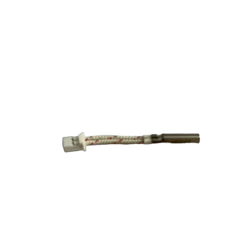 Raise3D - Pro3 - Heating Rod (Cartouche Chauffante)