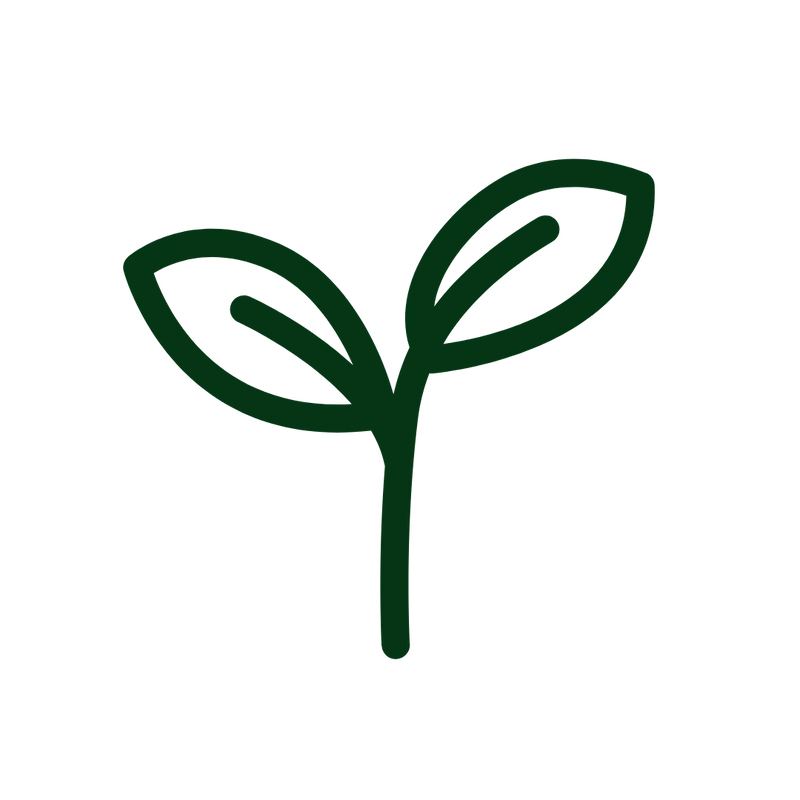 shopify auction